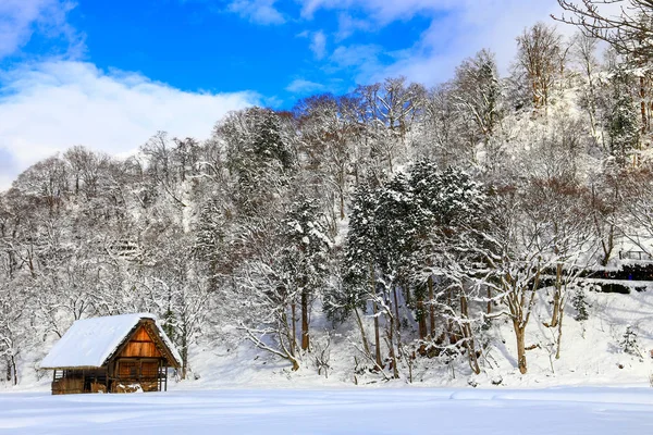 白川が冬のシーズンに行く — ストック写真