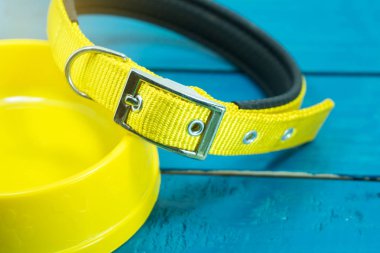 Evde beslenen hayvan yaka ve ahşap zemin üzerine sarı tabak.