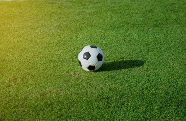 Güneş ışığı ile Stadyumu'nda yeşil sahada futbol topu