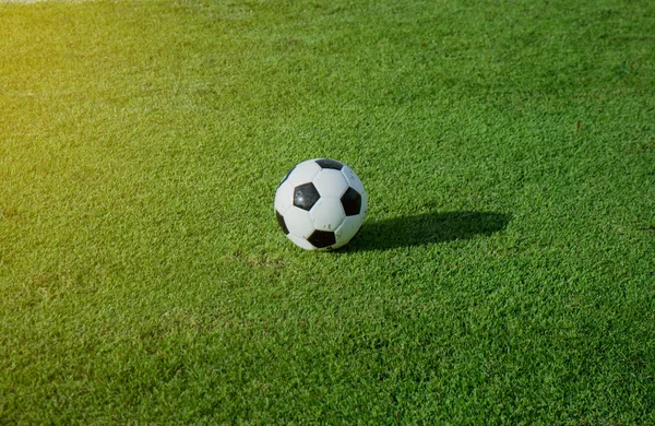 Güneş ışığı ile Stadyumu'nda yeşil sahada futbol topu