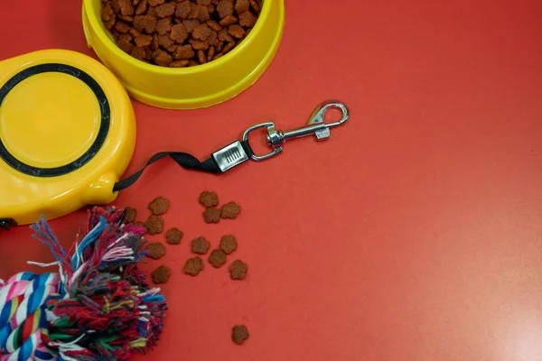 Isırık için kase kuru gıda ve ip ile otomatik kırmızı zemin üzerine tasma. Evde beslenen hayvan aksesuar kavramı.