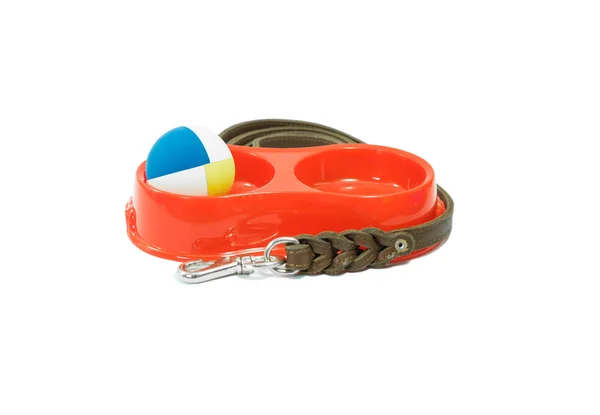 Accessoires pour animaux de compagnie de bols, boule en caoutchouc et laisse en cuir — Photo