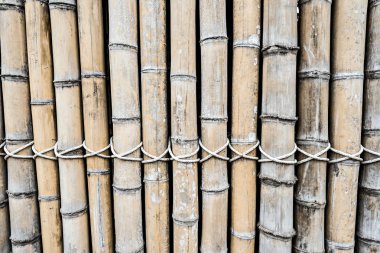 Vintage bambu doku kopya alanı ile