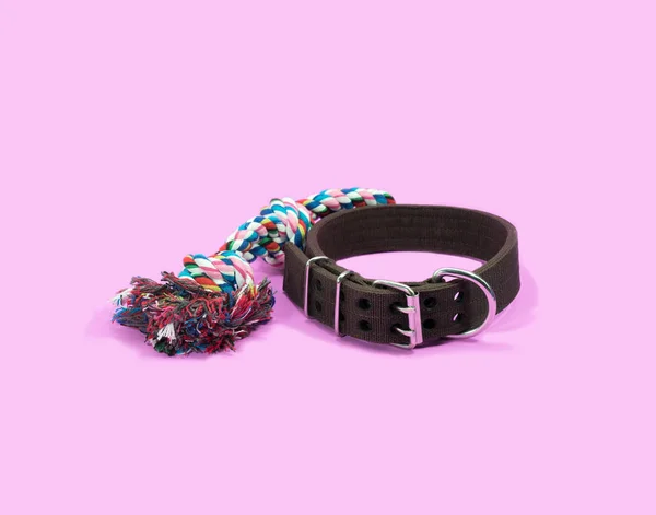 Pet collar and rope on pink background.  Pet accessories concept.