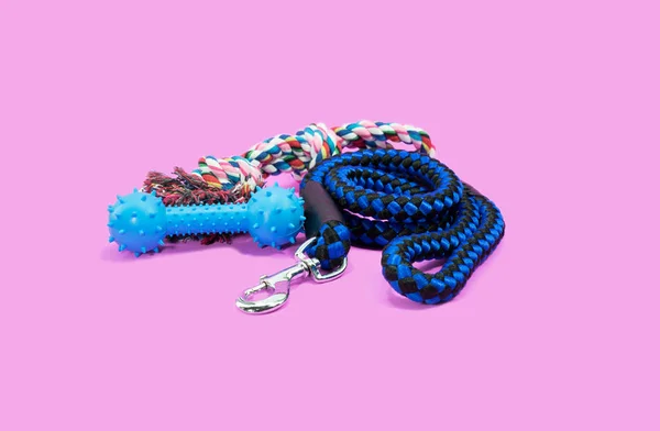 Pet Leash Rope Rubber Toy Pink Background Pet Accessories Concept — Stock Photo, Image