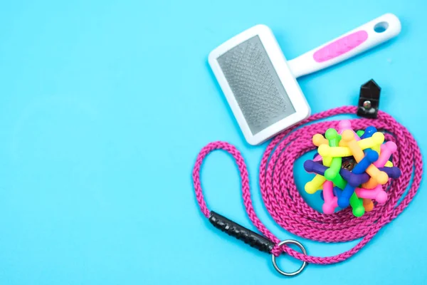 Pet Leash Rubber Toy Blue Background — Stock Photo, Image