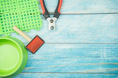 Tırnak makası, tarak ve kase için pets ahşap arka plan üzerinde. Evde beslenen hayvan levazım kavramı