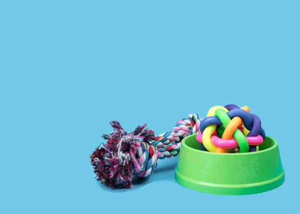 Pet Accessories Concept Pet Bowl Rope Rubber Ball Light Blue — Stock Photo, Image