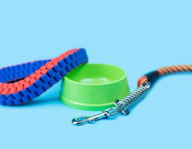 Evde beslenen hayvan kira kontratı ve kase için evde beslenen hayvan renk arka plan üzerinde. Evde beslenen hayvan levazım kavramı