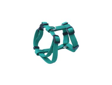 Beyaz arka plan üzerinde izole evde beslenen hayvan koşum takımı. Evde beslenen hayvan aksesuar kavramı