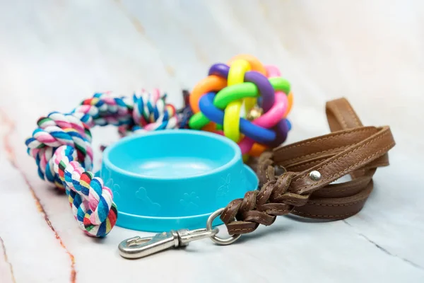 Pet Supplies Concept Pet Leather Leashes Brush Rubber Toy — Stock Photo, Image