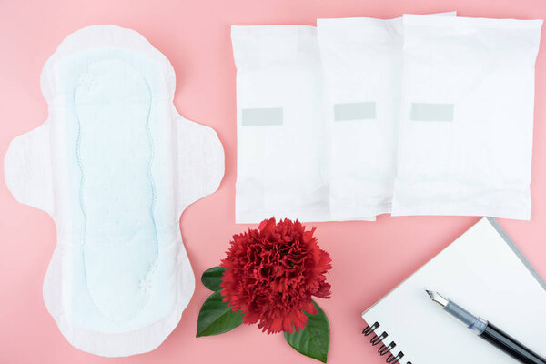 Красные цветы с гигиенической салфеткой и ручкой на блокноте для заметки
