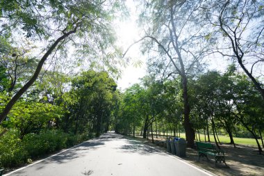 Yol çalıştırmak için genel Park'ta spor