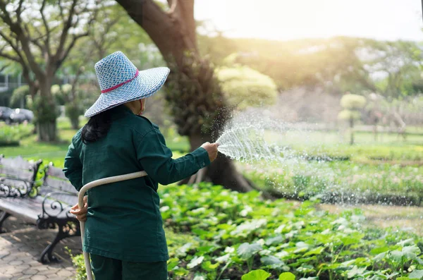 Operaio Che Innaffia Piante Giardino — Foto Stock