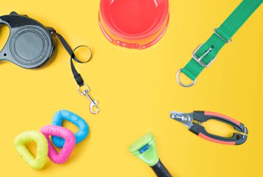 Sarı zemin üzerine evde beslenen hayvan aksesuarları.