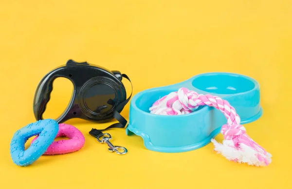 Pet Accessories Yellow Background — Stock Photo, Image