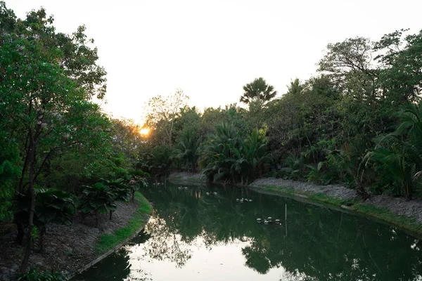 太陽の上昇と公共の公園の池. — ストック写真