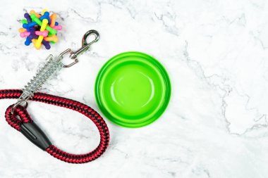 Evde beslenen hayvan kase, kira kontratı ve oyuncak köpek için. Evde beslenen hayvan Aksesuar kavramı.