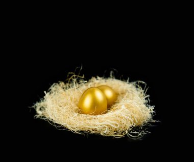 Siyah arka plan üzerine saman ile altın yumurta.