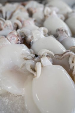 Mürekkep balığı yemek pişirmek için hazırlamak için buz koymak.