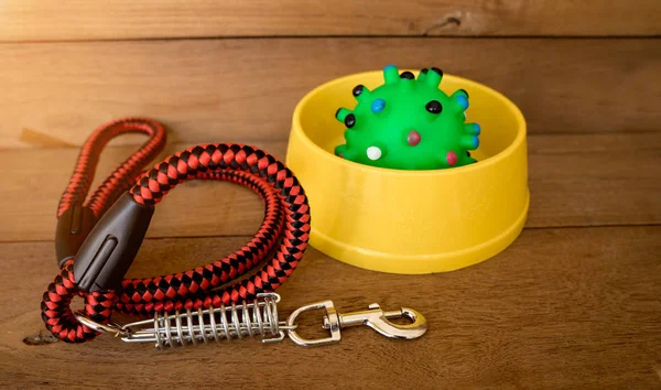 Correa para mascotas y juguete de goma sobre fondo de madera. Accesorio para mascotas — Foto de Stock