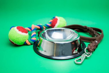 Yeşil arka plan üzerinde oyuncak ile Pet kase paslanmaz