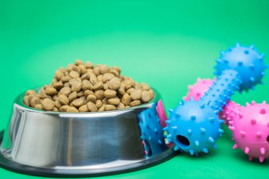 Köpek veya kedi konsepti için kuru gıda ve evcil hayvan malzemeleri