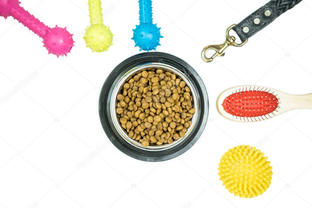 Dry food for pet and pet supplies on isolated white background