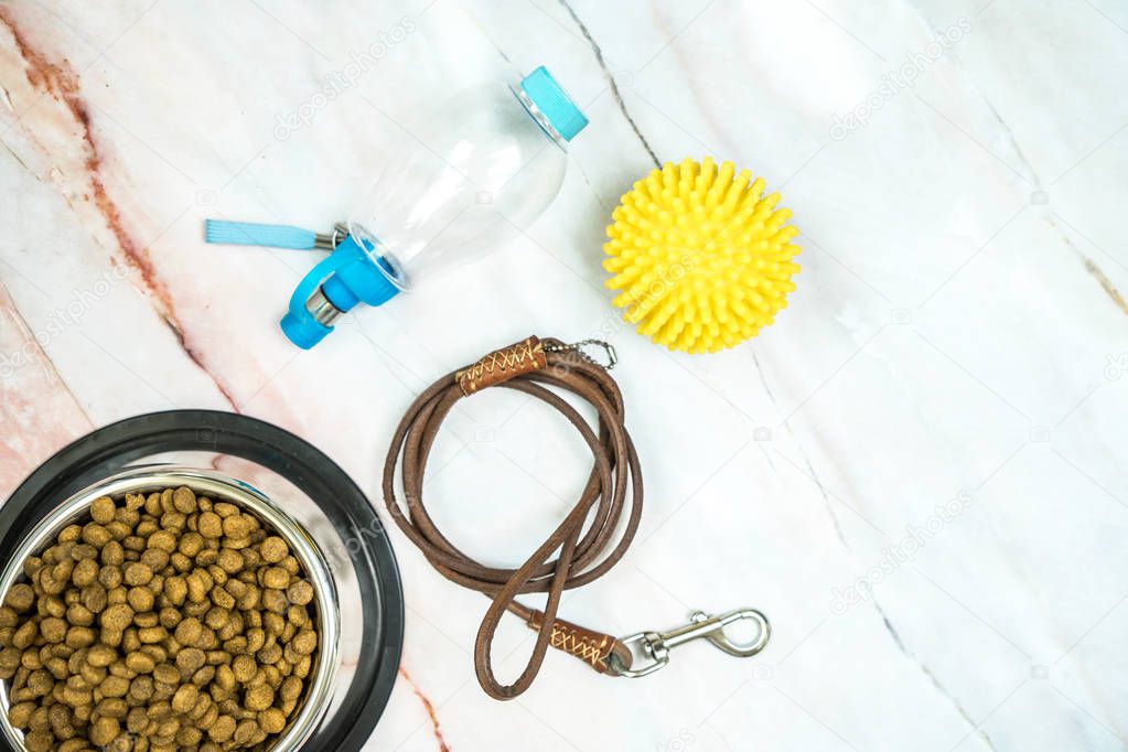 Dry food with leashes and accessories for pet.