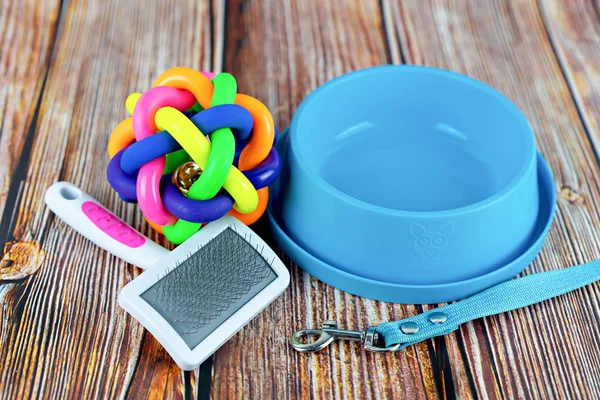 Pet accessories concept.  Pet leashes with rubber toy and bowl