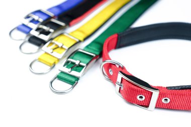 İzole beyaz arka plan üzerinde Pet yaka. Evcil hayvan aksesuarları kibir