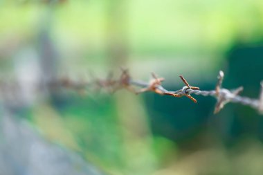 Açık hava için paslı dikenli tel çit