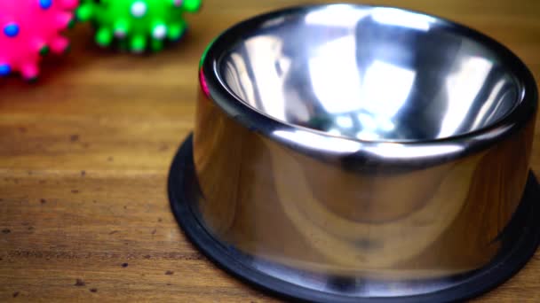 Footage Concept Pouring Pet Food Stainless Steel Bowl — Stock Video