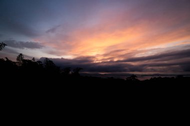 Manzara ormanı sabahın erken saatlerinde gün doğumuyla