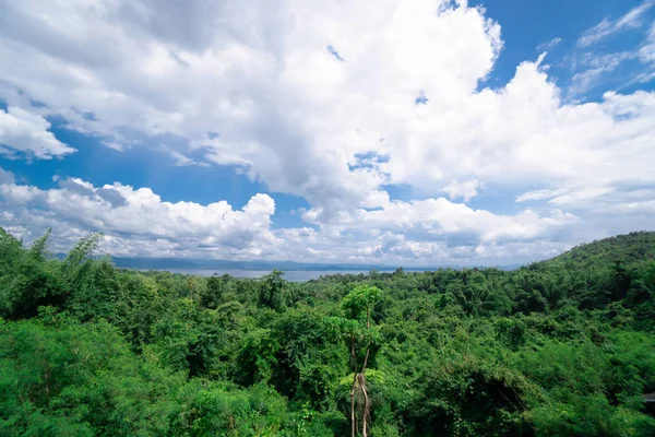 青空と雲が広がる景色の森 — ストック写真