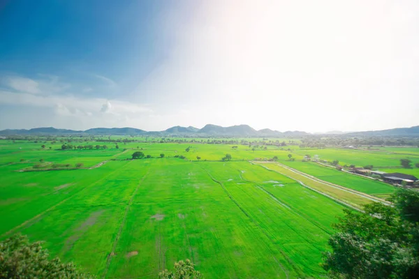 Zamazane krajobrazy pola ryżu i góry — Zdjęcie stockowe