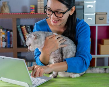 Kedi ve dizüstü bilgisayarlı portre kadını görüntülü konuşma için arıyor.
