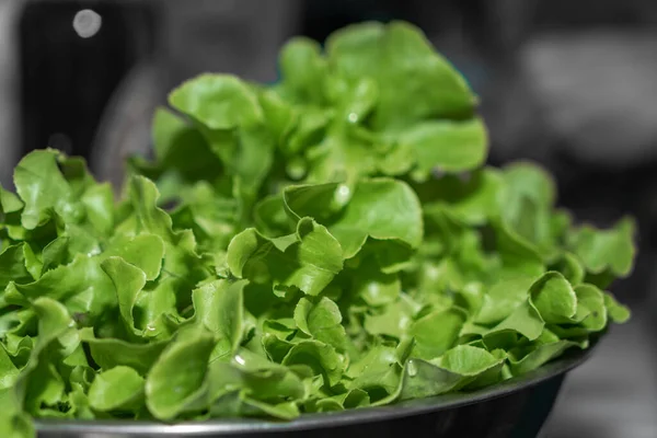 Salata için kasede organik sebze. Diyet gıda konsepti
