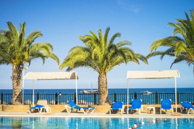 Tropikal Otel plaj havuzu avuç içi ve longue.