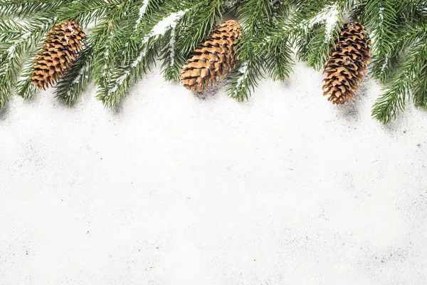 Boże Narodzenie tło z jodły i stożki na białym tle — Zdjęcie stockowe