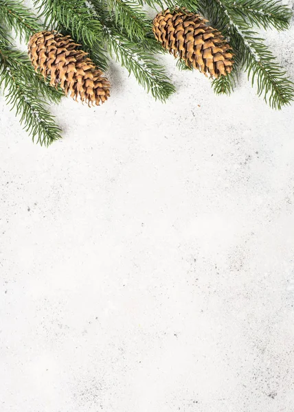Vánoční pozadí s jedle a šišky na bílém poza — Stock fotografie