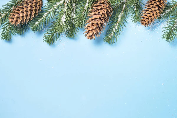 Snow Fir tree branch and cones on blue background. — Stock Photo, Image