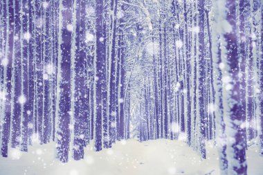 Winter nature background. clipart