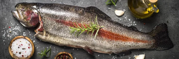 Raw salmon fish whole with ingredients for cookings on black.