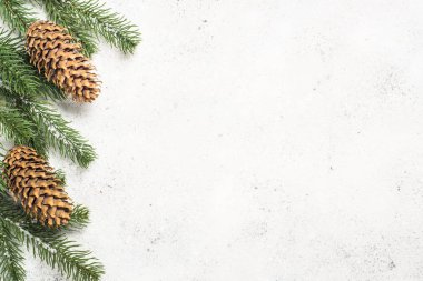 Çam ağacı ve koniler beyaz adam üzerinde Noel arka plan