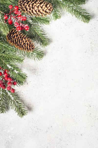 Fir ツリー ブランチと赤デコラとクリスマス背景 flatlay — ストック写真
