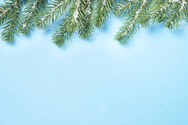 Hó fenyő fa ága és a kúp, a kék háttér. — Stock Fotó