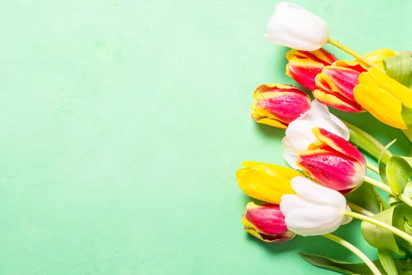 Fondo de flores planas. Tulipanes en verde . —  Fotos de Stock