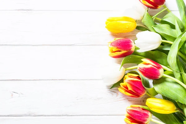 Tulipanes rojos amarillos y blancos florecen sobre blanco . —  Fotos de Stock