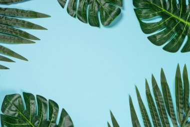 Cilt bakım ürünü, doğal kozmetik düz yatıyordu.